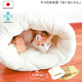 楽天市場 猫 ベッド ドームの通販