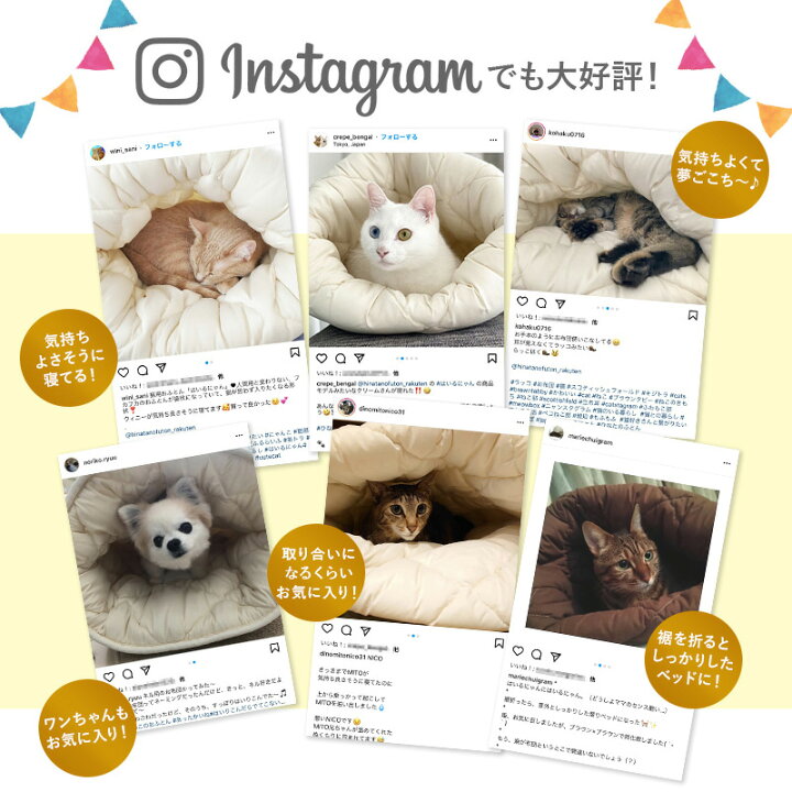 楽天市場】【2個購入で300円OFF！4日20:00〜16日9:59】 「はいるにゃん  