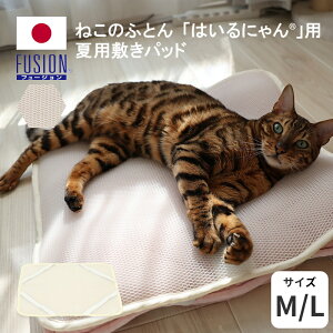 u͂ɂvėp~pbg M/L t[W ybgpėpNbV Q   ˂p lRp Ckp_炩Lbg ObY