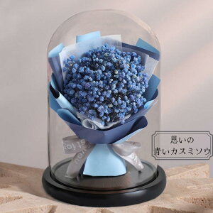 ؂₩ȑ蕨_ԌN[|^ \[vt[ v[g CeA Mtg  vU[uht[ԑ Ђ܂ XeBbNP[L ׂ IV MtgJ[