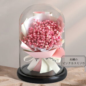 ؂₩ȑ蕨_ԌN[|^ \[vt[ v[g CeA Mtg  vU[uht[ԑ Ђ܂ XeBbNP[L ׂ IV MtgJ[