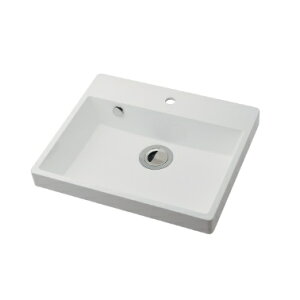 KAKUDAI(JN_C)CORPOSOHʊ493-209