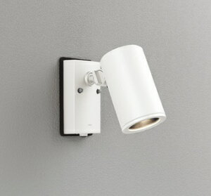 ODELIC(I[fbN)X|bgCgItzCgOG254551P1