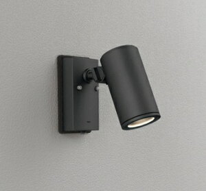 ODELIC(I[fbN)X|bgCgubNOG254555P1