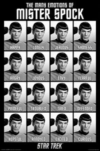 X^[gbN f|X^[ 91.5×61cm ؐA[gt[t X^[EgbN Star Trek Emotions of Spock