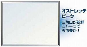 |X^[t[ IXgb`s[N  TCY42.3×54.4cmp