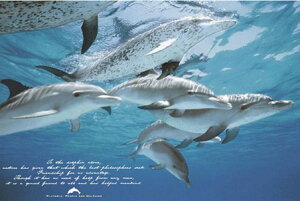 CJ |X^[ 91.5×61cm ؐA[gt[t fGȗF