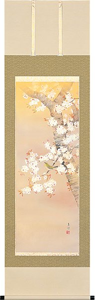 楽天市場】桜の掛け軸／桜に小禽 床の間に春を飾る 桜の掛け軸／高級桐