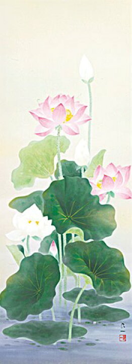 楽天市場】聖蓮華 仏画の掛け軸 極楽浄土の世界 聖蓮華の掛け軸 高級桐 