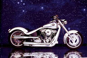 n[[_Bbh\ Motorcycle - Big Twin Softail |X^[ 91.5×61cm ؐA[gt[t