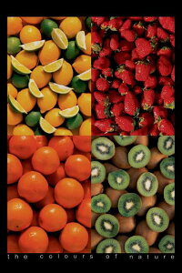 t[cJ[ |X^[ 91.5×61cm ؐA[gt[t Fruits - Colors of Nature