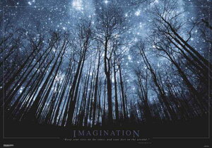 �C�}�W�l�[�V���� �|�X�^�[ �y�ʃA���~���t�B�b�g�t���[���t 91.5×61cm Imagination