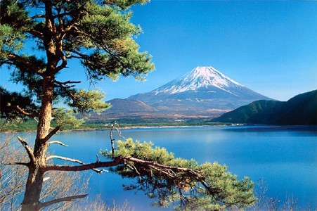 世界遺産登録 日本が誇る霊峰 富士山 期間限定送料無料 松 ポスター 割引 なし フレーム 額