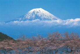 富士山 桜 ポスター 軽量スタイリッシュアルミ製フィットフレーム付 91.5×61cm