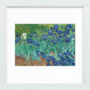 Sbzi ACX XNGAzi ׃WO[ŉ zi