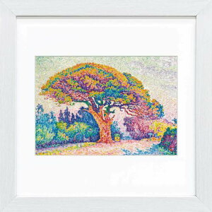 VjbNi Tgy̖̏ XNGAzi ׃WO[ŉ zi