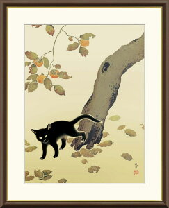 Hcti `ɔL F8TCY H|p zi