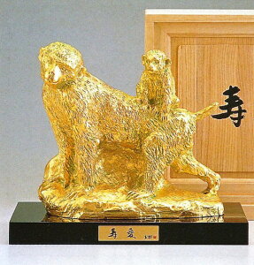 ̒u N̗ǂx \  () M͎͎ xii  x \̒u ˔t 