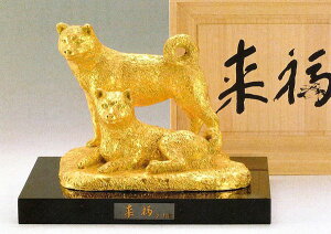 xi̊xi  ̒u () M͎͎҂̊xu  ˔t