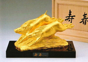 x  ̒u ̂ t() M͎͎ xii  ˔t