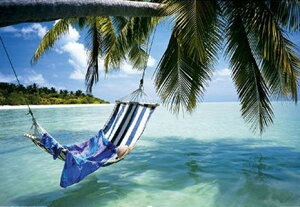 nbN r[` |X^[ t[(z)Ȃ 91.5×61cm