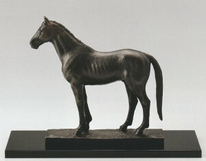 n̒u n x ()̒u Ócii ˔t ̔n 