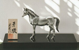 x̒u (n) Fx(⃁bL) Gэi ˔t ̉Nx  ˔