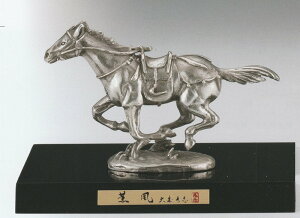 x̒u  O(␻) ANP[Xt XFui ̉Nx n̒u