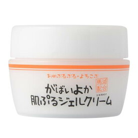 がばいよか 肌ぷるジェルクリーム オールインワン ジェル ゲル スキンケア 化粧水 乳液 美容液 クリーム 馬油 ビタミン誘導体 ヒアルロン酸 プラセンタ レチノール誘導体 コラーゲン セラミド (100g)