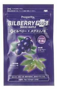 �I�[�T���W���p�� �V�r���x���[�v���X���O�X���m�L18gx2�� JAN�F4983588600304