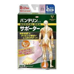 oeT|[^[ ѐp 傫/LTCY( 26~28cm) CgsN