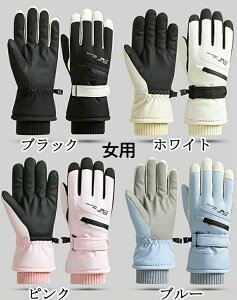 �y6%OFF�N�[�|����2168�~�z�X�L�[ �O���[�u �h���O���[�u ���f�B�[�X �����Y ���l �X�L�[ �X�m�[�{�[�h �X�m�{ �O���[�u �~�g�� ��� �ܖ{�w�o�R �o�C�N ���]�� ����~�� �h�� �h�� �h�� ���� 