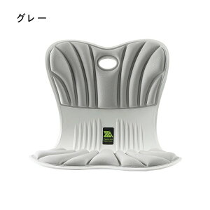 座布団 姿勢矯正 骨盤サポート チェア 骨盤から腰をサポート 腰クッション 腰枕 ランバーサポート 背もたれクッション 人間工学 腰が快適 座椅子として使用可能 軽量 持運び簡単 オフィス