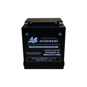 y&Viz oriental oCNpobe[ ZTX30CL-B