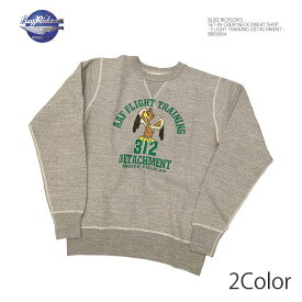 BUZZ RICKSON'S バズリクソンズ BR69694 セットイン クルーネック スウェットシャツ 前Vガゼット - FLIGHT TRAINING DETACHMENT - ヒノヤ HINOYA