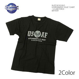 バズリクソンズ BUZZ RICKSON'S BR79397 ガヴァメント イシュー Tシャツ 半袖 - U.S.AIR FORCE - ミリタリー メンズ | ヒノヤ