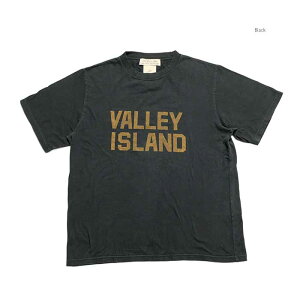 ���~�����[�t REMI RELIEF RN30389138 �n�[�hSP���H ���M�����[ T�V���c - VALLEY ISLAND - �����Y | �q�m�� HINOYA