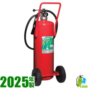 y2025NE[J[ۏ؁z~^ABC~Ί50^ EF50