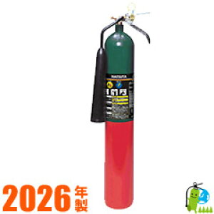 y2026NE[J[ۏؕtz_YfΊ5^ CG-5nc^쏊