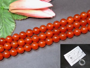 ��g3-146D�⁜10mm��5A�������큜�ӕʍρE�{���ۏ؁�1�A38cm �ʂ��j�A������A1m�S���t�����ԃ��m�E�����b�h�A�Q�[�g���i�J�[�l���A���j���l�R�|�X�����������r�[�Y���u���W���Y���V�R�΁��p