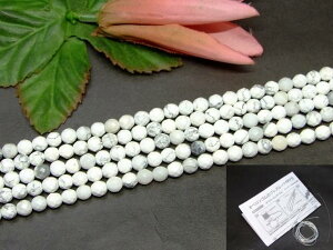 g3-335C��6mm 64�ʃJ�b�g���n�E���C�g��1�A37cm �ʂ��j�A������A1m�S���t�����l�R�|�X�������������E���h���ۋʁ��p�[�c���r�[�Y���I�[�X�g���A�Y���V�R�΁��p���[�X�g�[��