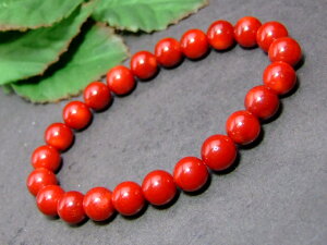 10069⁜lR|X8mm 킯聜X TS R[uXbga16cmAtJYVR΁p[Xg[