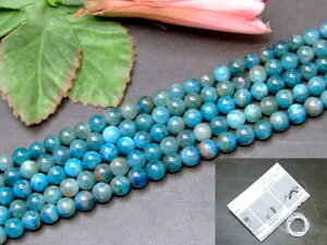 g3-2225N�@�@�A�p�^�C�g 6mm A 1�A39cm �ʂ��j�A������A1m�S���t�� �ӊD�� �������� �u���W���Y �V�R�� �p���[�X�g�[��