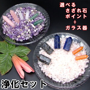 Iׂ 򉻗p+|Cg+KXZbg EuXbgEANZT[̏ v[g  J^ACe VR p[Xg[