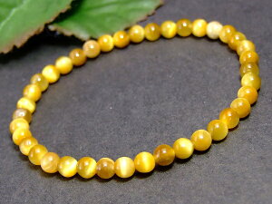 ��32461K�⁜4mm���z���C�g�^�C�K�[�A�C �Ֆڐ΁��l�R�|�X�����������u���X���b�g ���a16cm �|�[�`�t����AA���S�[���h�^�C�K�[�A�C���S�[���f���^�C�K�[�A�C����A�t���J���a���Y���V�R�΁�