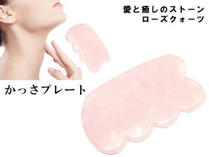 k3-16R@5A [YNH[c v[g 100mm×65mm |[`t   e }bT[Wp  VR p[Xg[