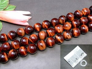��g3-2014F�⁜16mm AAA �^�C�K�[�A�C �ԌՖڐ� 1�A39cm �ʂ��j�A������A1m�S���t�������������L����A�t���J���a���Y���V�R�΁��p���[�X�g�[��