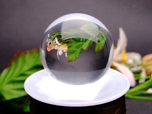 g3-291H⁜1聜5A45mm  ۋ NX^ NH[cyVňlɒ큜uWYVR΁p[Xg[