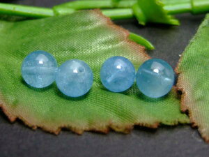 g3-2159SANA}6mm4A1 ӕʍρE{ۏ؁lR|XuWYVR΁p[Xg[