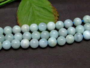 28325⍡̔z@ANA}7mm`8mmA1聜ӕʍρE{ۏ؁lR|XuWYVR΁p[Xg[